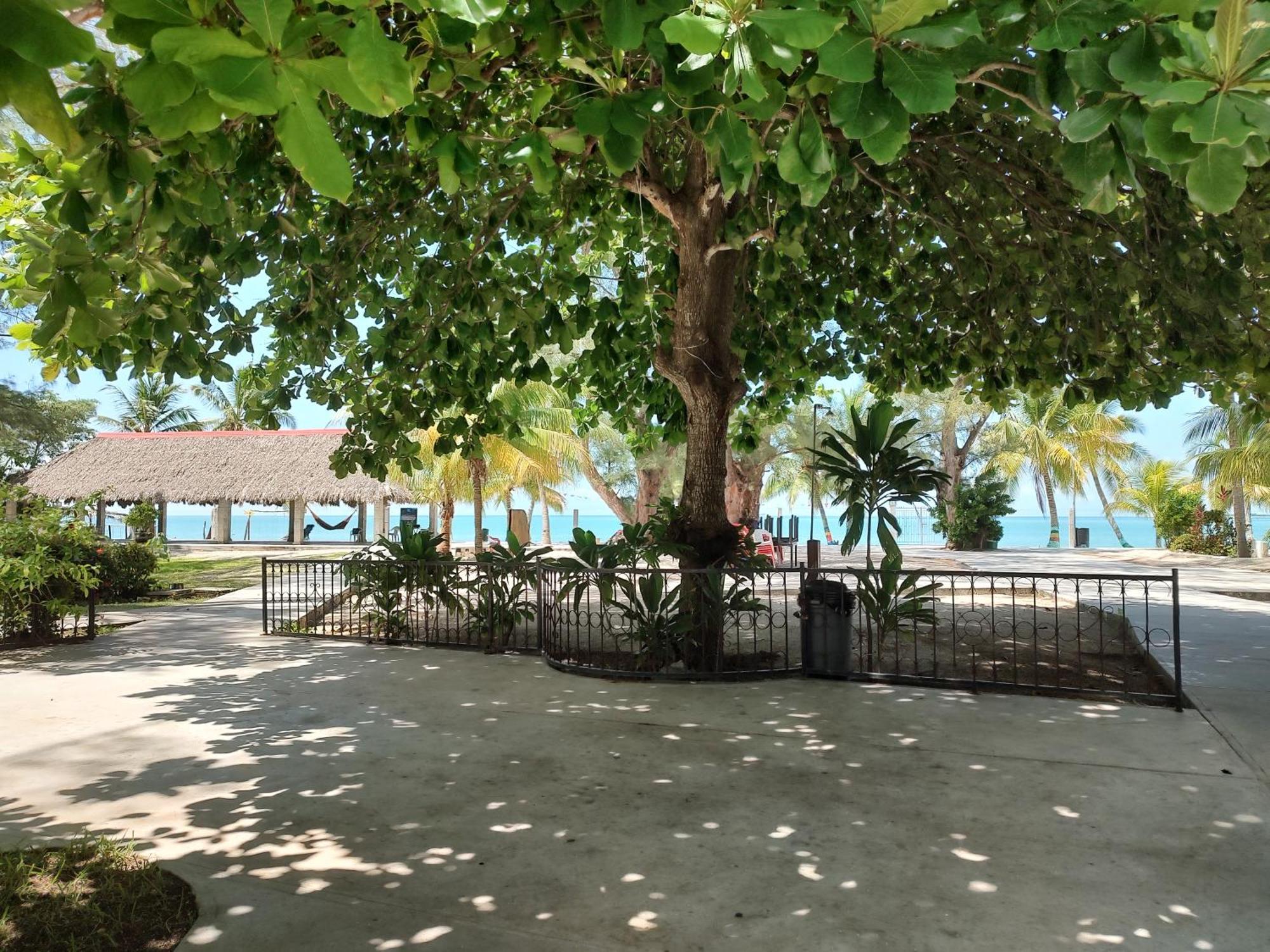 Freedom Shores "La Gringa" Hotel - Universally Designed Isla Aguada Bagian luar foto